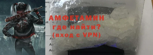 прущие грибы Сафоново